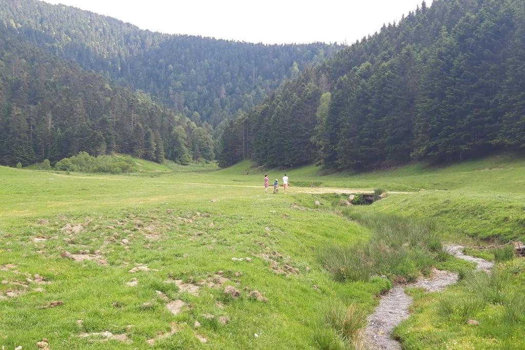La Cabane Du Cerf A Payolle カンパン エクステリア 写真